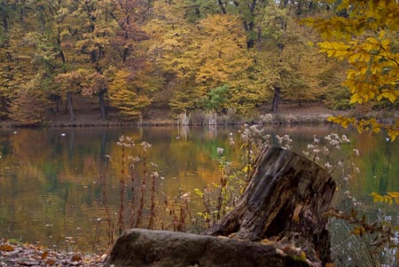 „Maksimirska jesen“, fotografija snimljena 2011. godine, autor: Mirta Dagelić 